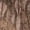 Mossy Oak Bottomland, variant on Terik G2 Whitetail Youth Jacket