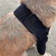 thumbnail image 2 of CHAO Almohadillas protectoras para codos de perro transpirables para soporte de codo y hombro canino Higroma de codo, displasia, osteoartritis, callos en el codo, presión L, 2 of 3