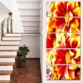 thumbnail image 1 of Red Yellow Flower Background Photo - Large Floral Canvas Artwork, 1 of 1