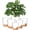 White, variant on West Bay 6-Pack Self Watering Planters, Indoor Outdoor Large Flower Pot Plant Pots with Drainage Holes and Saucers, 8, 7, 6.5, 6, 5.5, 5 Inches, Black