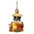 thumbnail image 5 of Herrnalise Christmas Puppy Ornament Xmas Decor Tree Hanging Puppy Acrylic Holiday Decoration Cute Puppy Ornaments for Christmas Tree Outdoor Hanging, 5 of 7