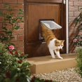 thumbnail image 1 of Gatera para Gatos Perros Gatera para Gatos Pequeña Puerta con Microchip Cerradura de 4 Vías Fácil de Instalar.// Kuyhfg Bienvenido a Kuyhfg, 1 of 4
