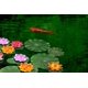thumbnail image 2 of 4 flores de loto artificiales de espuma flotante de 7 pulgadas para piscina, almohadillas de lirio de agua realistas, rosa marfil blanco naranja carmesí, perfecto para el hogar al aire libre Pati, 2 of 5