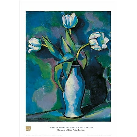 - Three White Tulips by Charles Sheeler 28x20 Art Print Poster Floral Still Life Famous Painting