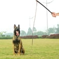 thumbnail image 4 of Palo de entrenamiento para mascotas, látigo de entrenamiento para perros, productos de cuero para mascotas, ayudas para el entrenamiento de perros, elegante y moderno, 4 of 8