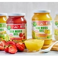 Organic Sea Moss Gel (MangoPineapple) LARGE 16 OZ Real Fruit