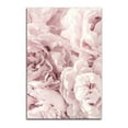 thumbnail image 2 of Gango Home Decor 'Peony' Graphic Art Print, 2 of 2