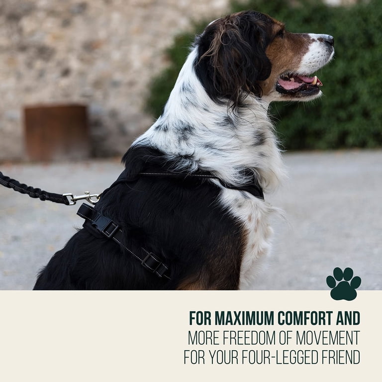 No-Pull Reflective Dog Harness For Small Breeds (20-30 Lbs) - Saddle Style Breathable Chest Strap