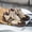 Light Brown-1, variant on Men'S Trendy Shoes, Popular on Social Media, Autumn Training Shoes, Korean Style Versatile White Sneakers, Sports Skate Shoes