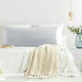thumbnail image 1 of PiccoCasa Bamboo Body Pillowcases 1Pc, Breathable with Zipper Light Gray 20"x48", 1 of 7
