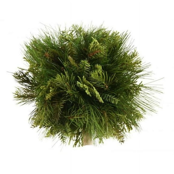 10 in. Mixed Pine Ball with Cedar - Pack of 2