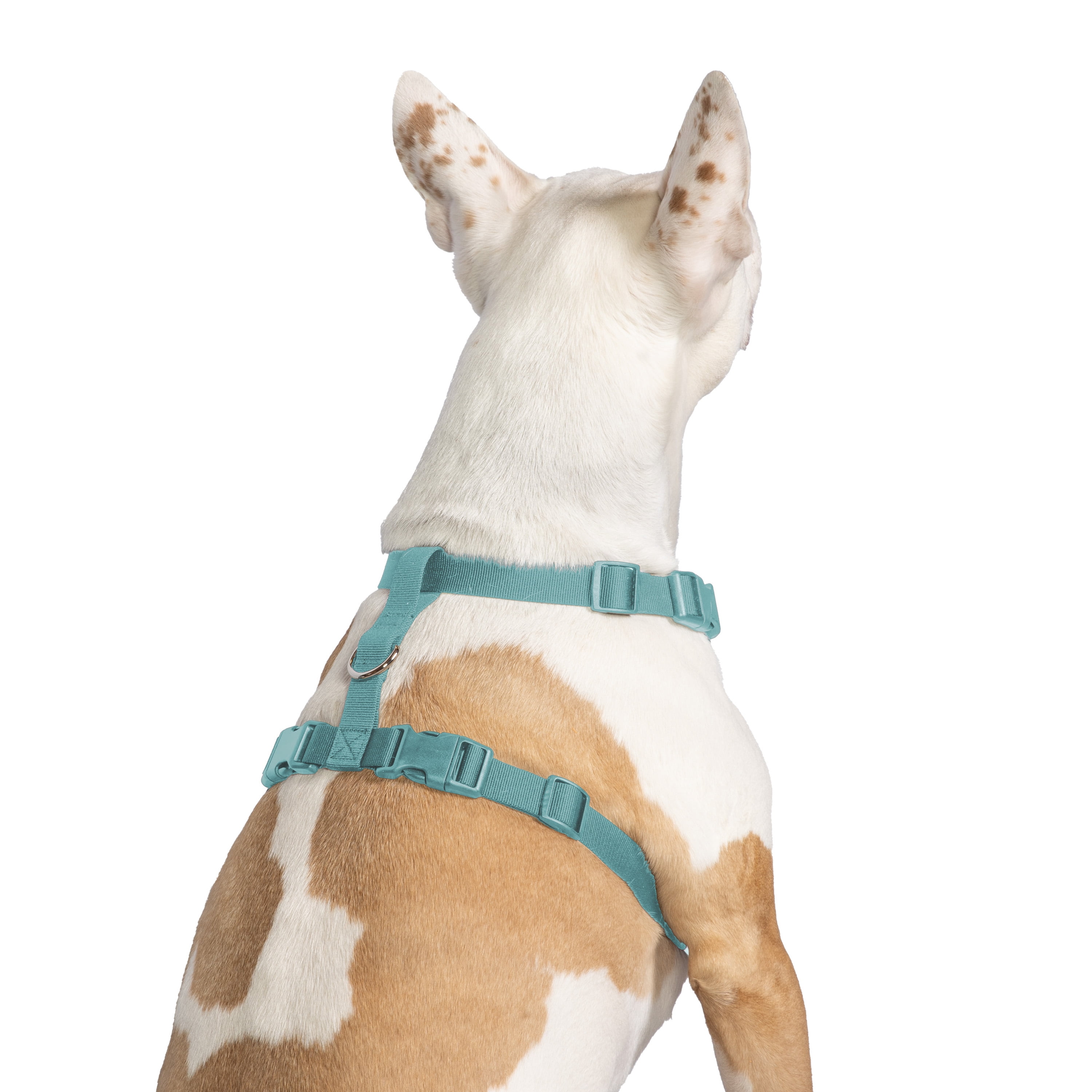 Vibrant Life Polyester Mesh Adjustable and Reflective Dog Walking Harness, Turquoise, L