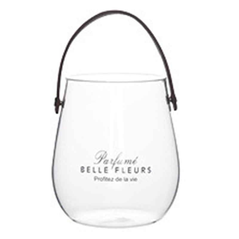 HGYCPP Clear Glass Vase with Leather Handle Tabletop Flower Container Flowerpot Plant Bottle