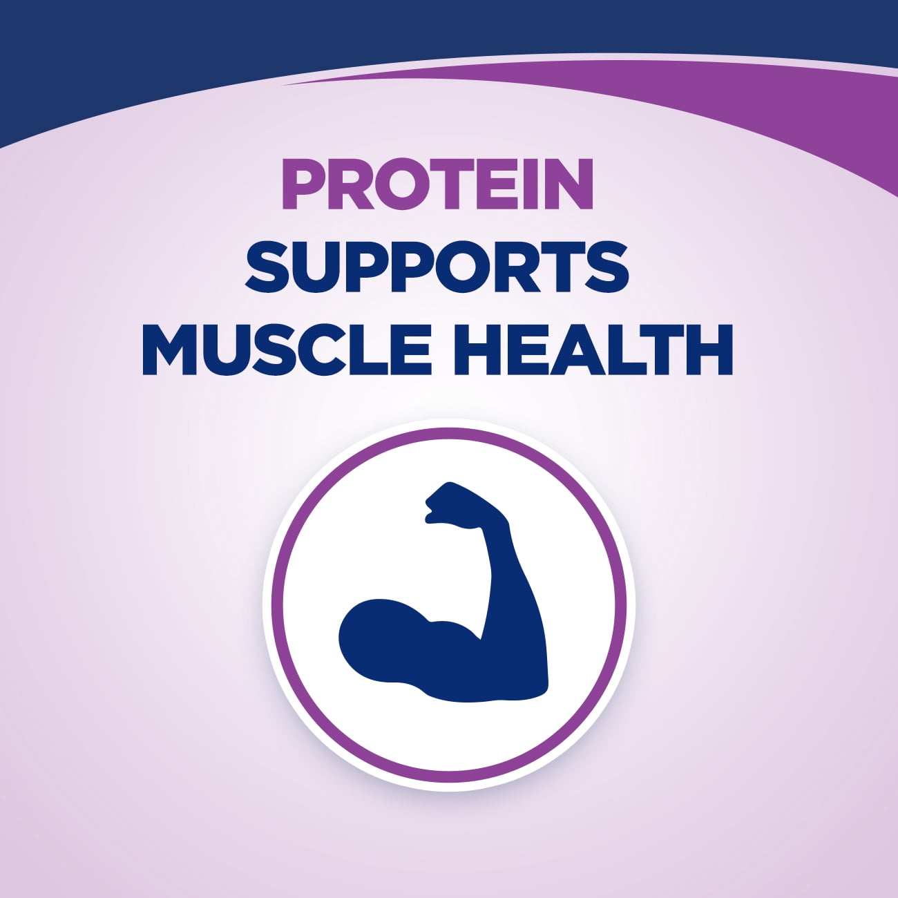 Ensure High Protein Bars, 20 Bars, On-the-Go Nutrition, 15g Protein for Muscles, Mixed Berry
