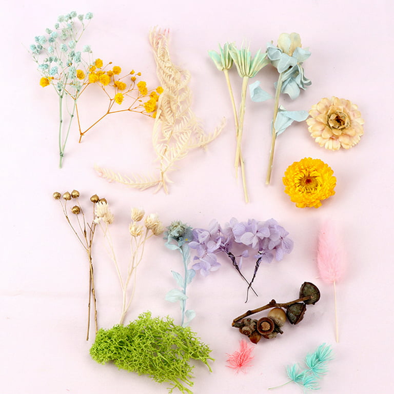 Mixed Dry Flowers, Dried Pressed Flowers for Crafts, Pressed Flower Art,  Dried Flowers for Resin, Wedding Decoration, Dried Flower, Art 