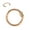 Rose Gold, variant on Surgical Steel Daith Earrings for Women 16 Gauge Helix Cartilage Ear Piercing Hoop 8mm Septum Jewelry Silver 16g 8mm Hinged Septum Ring Silver
