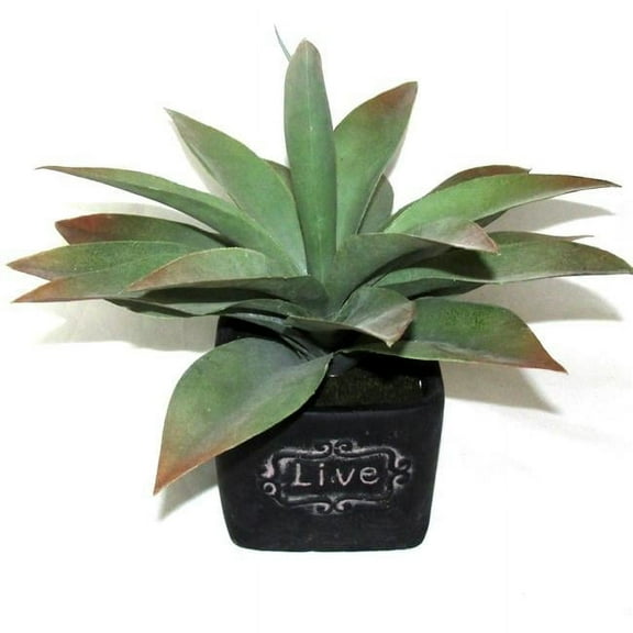 Jeco HD-BT011 11 in. Artifical Succulent Garden
