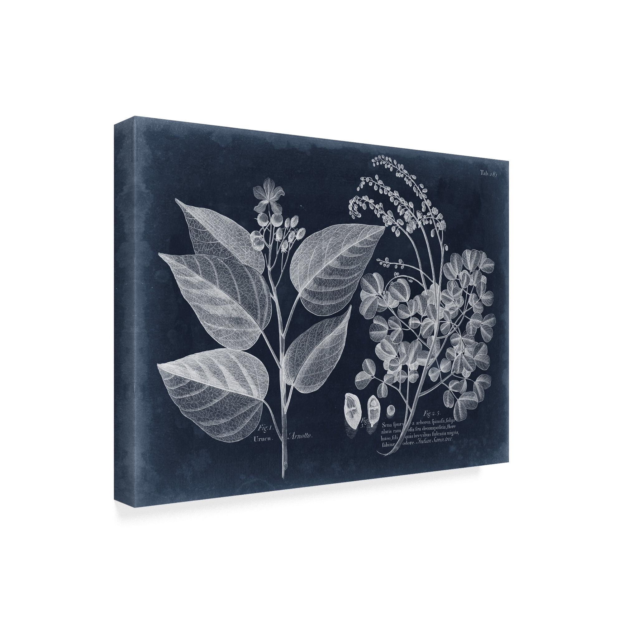 Trademark Fine Art 'Foliage on Navy III' Canvas Art by Vision Studio