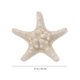 thumbnail image 2 of 10pcs Seashell Shape Refrigerator Magnet Sticker 3D Ocean Theme Fridge Magnets (Random Style), 2 of 3