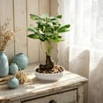 thumbnail image 6 of EDHITNR Artificial Money Tree Bonsai Mini Plastic Green with White Pot Faux Potted for Desk Shelf Decor, Realistic Leaf Texture Small Potted Bonsai Indoor Ornament, 6 of 6