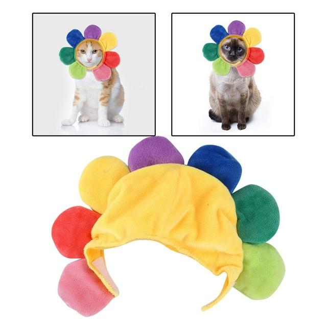 Sombreros creativos para disfraz de flor de terre para perros, divertidos sombreros de cumpleaños para y mascotas, sombreros cálidos, accesorios p Salvador Perro lindo sombrero