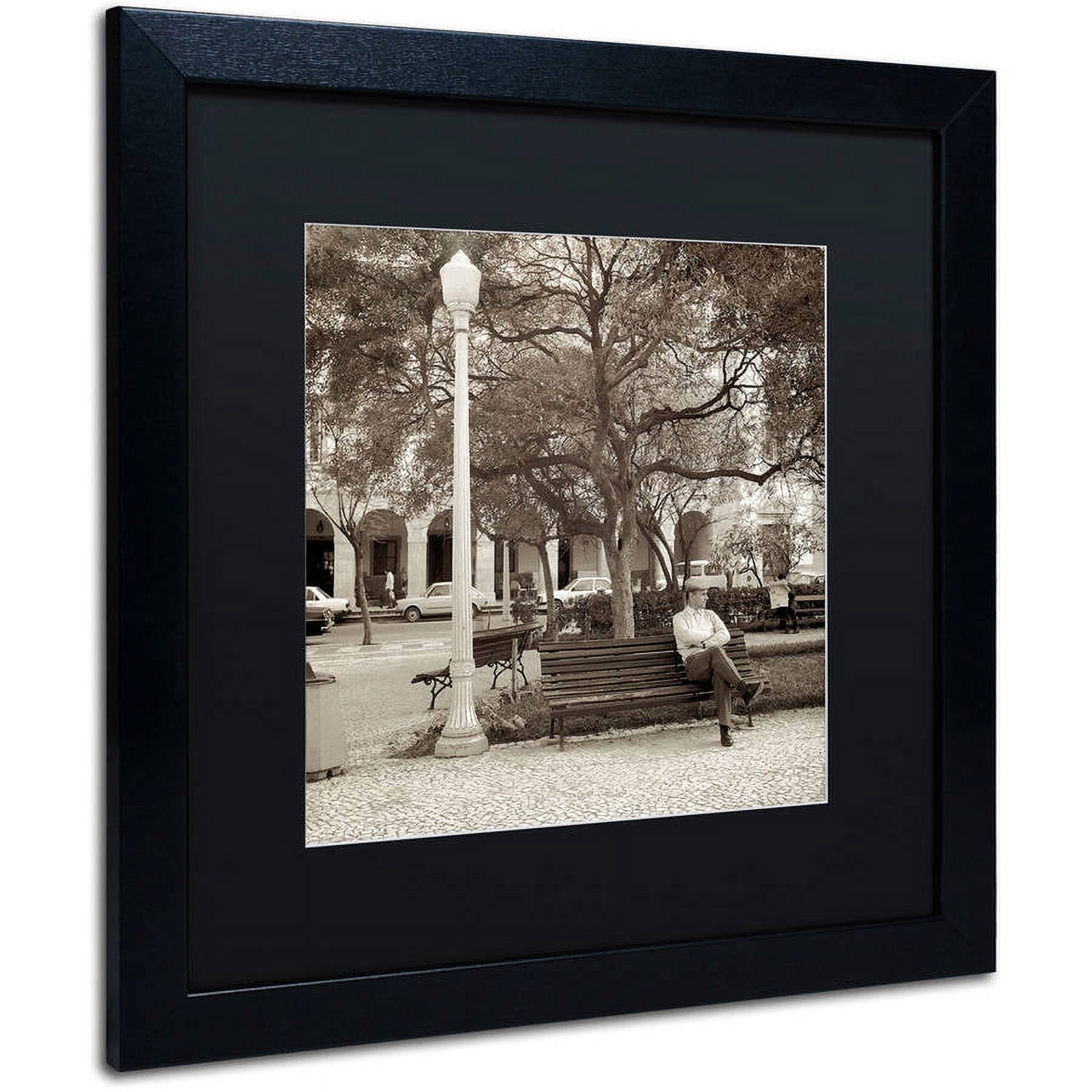 Trademark Fine Art "Faro I" Canvas Art by Alan Blaustein, Black Matte, Black Frame