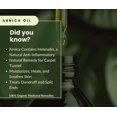 thumbnail image 2 of SSF Organics - Arnica Salve | Recovery and Relief |  Treats Thin Fragile Bruise Prone Skin | Relieves Back Muscle Soreness | Great Natural Massage Treatment for Topical Relief | 2 oz., 2 of 5