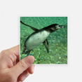 thumbnail image 1 of Water Southern Penguin Science Nature Picture Sticker Square Waterproof Stickers Wallpaper Car Decal, 1 of 1