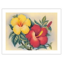 Hawaiian Hibiscus - Hawai’i State Flower - Vintage Hawaiian Airbrush Art by Eve Hawaii c.1940s - Bamboo Fine Art 290gsm Paper (Unframed) 17x22in