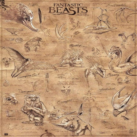 And Where To Find Them Poster - The 5 Beasts (24