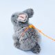 thumbnail image 5 of unbranded Arnés De Para Mascotas Pequeñas Correa Ajustable 2 Metros Protección Completa, 5 of 7
