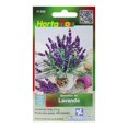 thumbnail image 1 of Pack De 2 Semillas De Lavanda Hortaflor Morado 0.5 Gr, 1 of 3