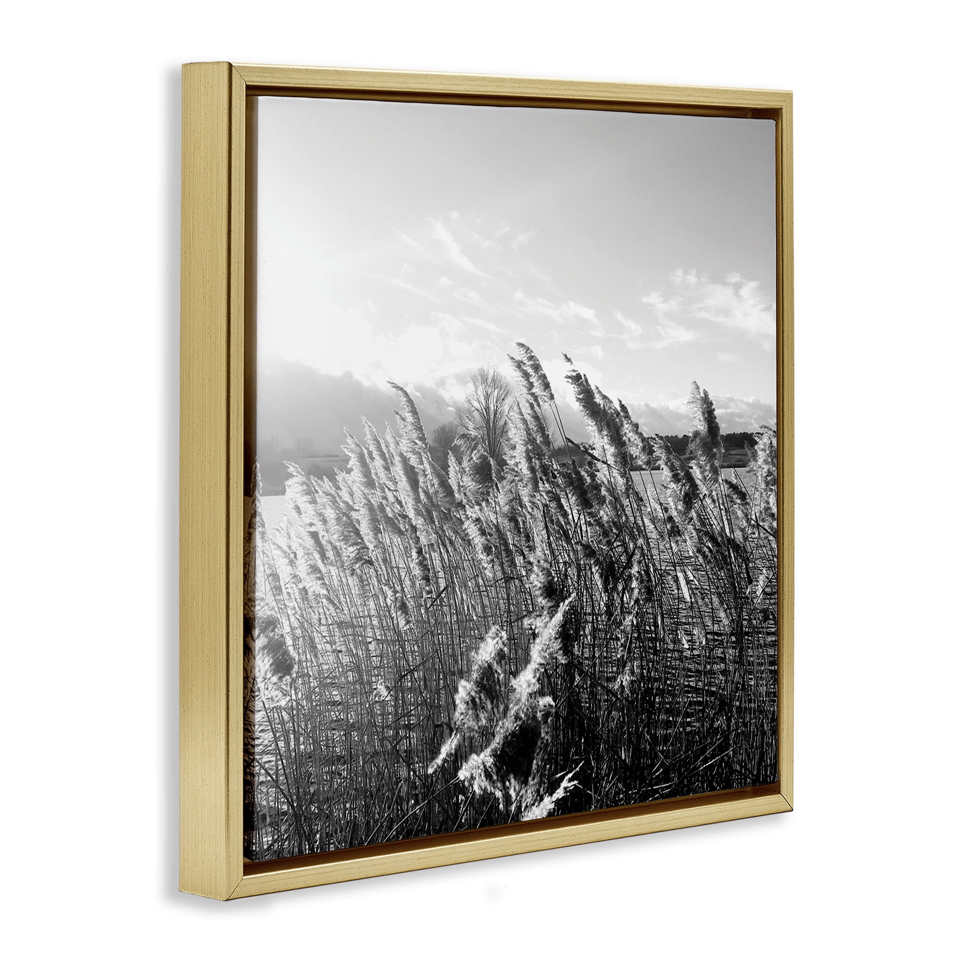 Stupell Industries Tall Grass Lake Water Landscape Landscape Photography Gold Floater Framed Canvas Art Print Wall Art, 18 x 18