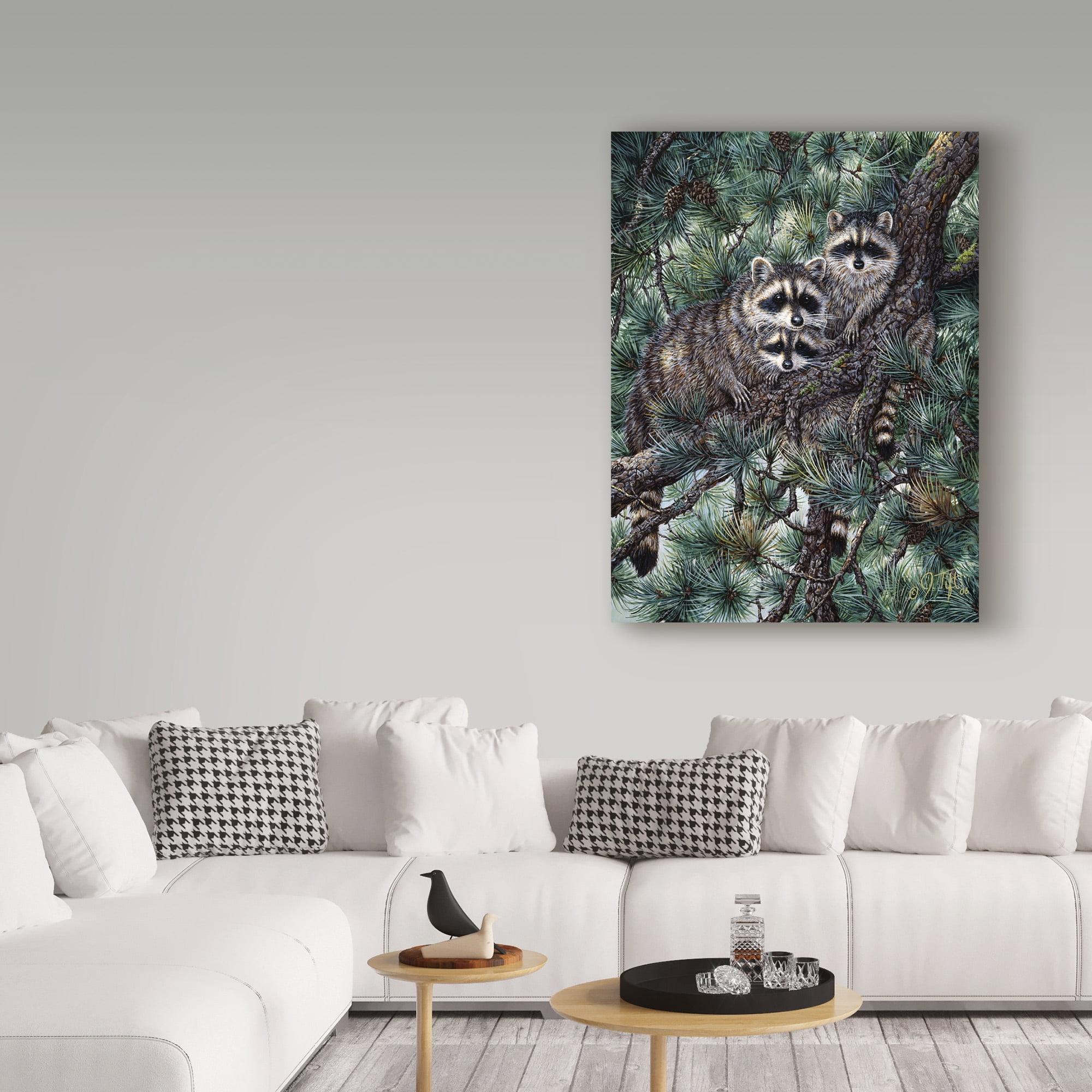 Trademark Fine Art 'Racoons' Canvas Art by Jeff Tift