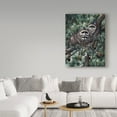 thumbnail image 3 of Trademark Fine Art 'Racoons' Canvas Art by Jeff Tift, 3 of 3
