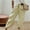 Yellow, variant on Palazzo Pants For Women Women Capri Pants Carpenter High Waist Rise Ankle Slim Straight White S