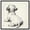 Black Frame, variant on Tender Pawprints Canvas Vintage Dog Drawings by Art Remedy, Gold Frame, 40" x 40"