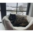 thumbnail image 5 of High Walled Cuddler Beds for Cats & Dogs - S - Boots & Barkley, 5 of 8