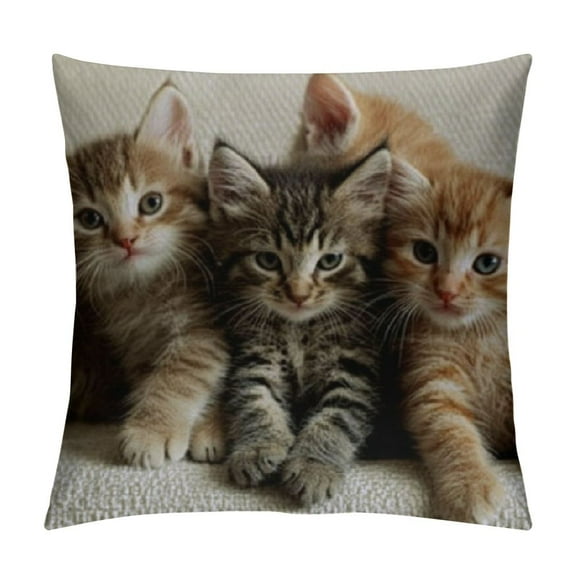 Patifu Cute Cats Decorative Throw Pillow Cover Case, Kittens Family Cats Outdoor Pillow Cases Square Standard Cushion Cover for Sofa Couch Bed Car 12x12in