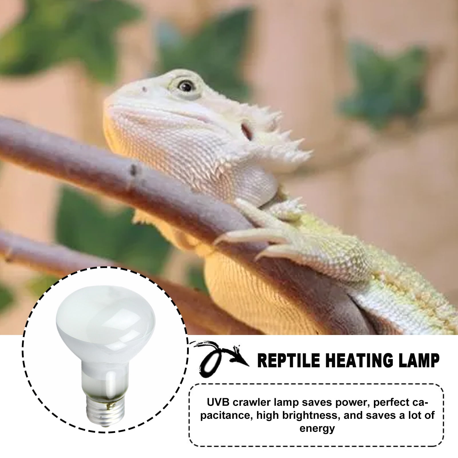 Buy ibaste Reptile Heat Lamp Perfect Spectrum Basking Light UVA UVB