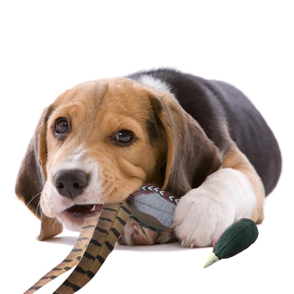 NANMELX Dogs Toy Duck Outdoor Dog Training Toy Jump Hunt Training Dog Retrieving Toy Interactive Pet Training Toy Puppy Supplies