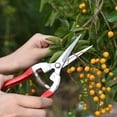 thumbnail image 5 of JM 2 Tijeras de podar de jardín Tijeras de jardín de mano profesional Cuchillas rectas Tijeras de jardinería para recoger frutas Flores Verduras Bonsai Plantas Tijeras de cosecha ER, 5 of 5