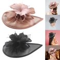 thumbnail image 1 of 2 Unids Malla Fascinator Sombrero Baoblaze Negro Rosa Talla Única 30x26 cm, 1 of 8