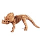 thumbnail image 5 of Figuras de esqueleto fósil de saur, surtido de juguetes de esqueleto de saur, figuras de huesos, regalo educativo, 12 Uds., 5 of 7
