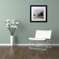 thumbnail image 4 of Trademark Fine Art "Spring Path" Canvas Art by CATeyes, White Matte, Black Frame, 4 of 4