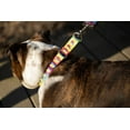 thumbnail image 2 of Country Brook Petz - 1 inch Rainbow Hearts Dog Leash - 4 Foot, 2 of 4