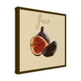 thumbnail image 2 of Trademark Fine Art 'Italian Fruit VI' Canvas Art by Vision Studio, 2 of 4