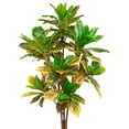 thumbnail image 3 of Northlight 3.8' Unlit Green and Black Potted Artificial Croton Tree, 3 of 8