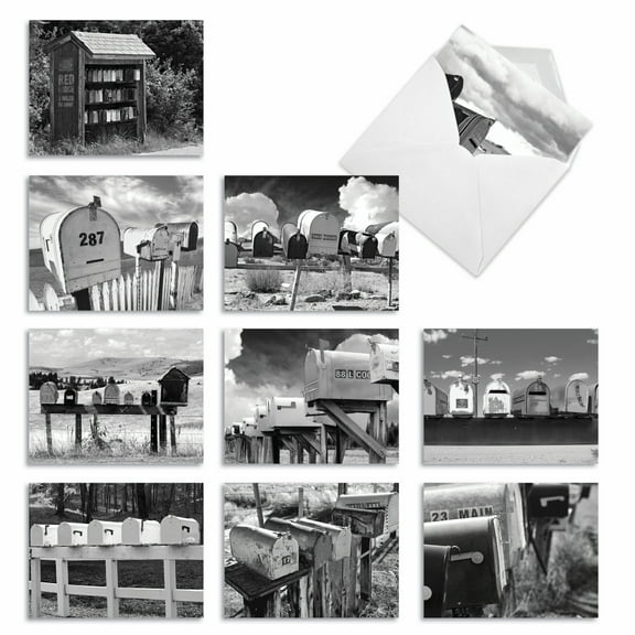 10 All Occasion Blank Note Cards Pack (4 x 5.12 Inch) - IN THE MAIL M9681OCB