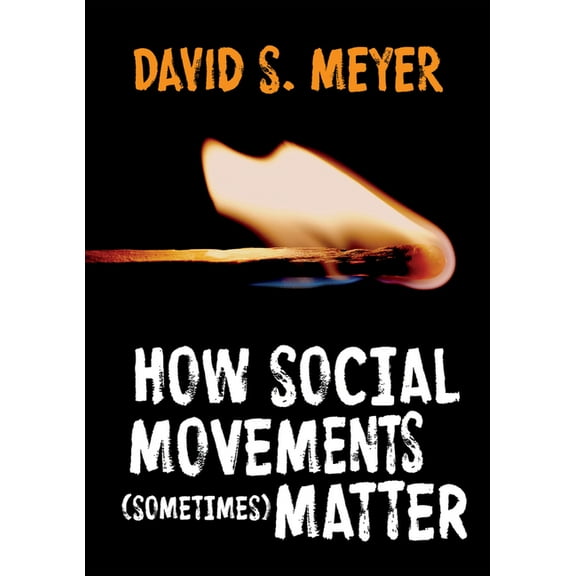 How Social Movements (Sometimes) Matter (Paperback)